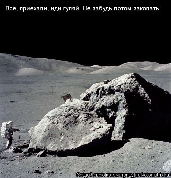Котоматрица: Всё, приехали, иди гуляй. Не забудь потом закопать!