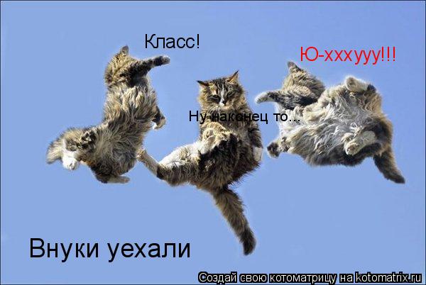Котоматрица: Ю-хххууу!!! Класс! Ну наконец то... Внуки уехали
