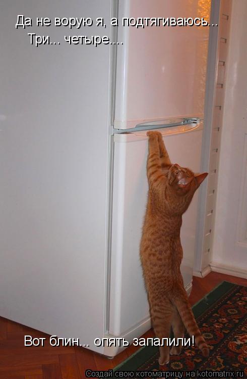 Котоматрица: Да не ворую я, а подтягиваюсь...  Три... четыре....  Вот блин... опять запалили!