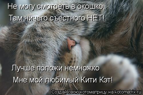 Котоматрица: Не могу смотреть в окошко, Лучше положи немножко Там ничего съестного НЕТ! Мне мой любимый Кити Кэт!