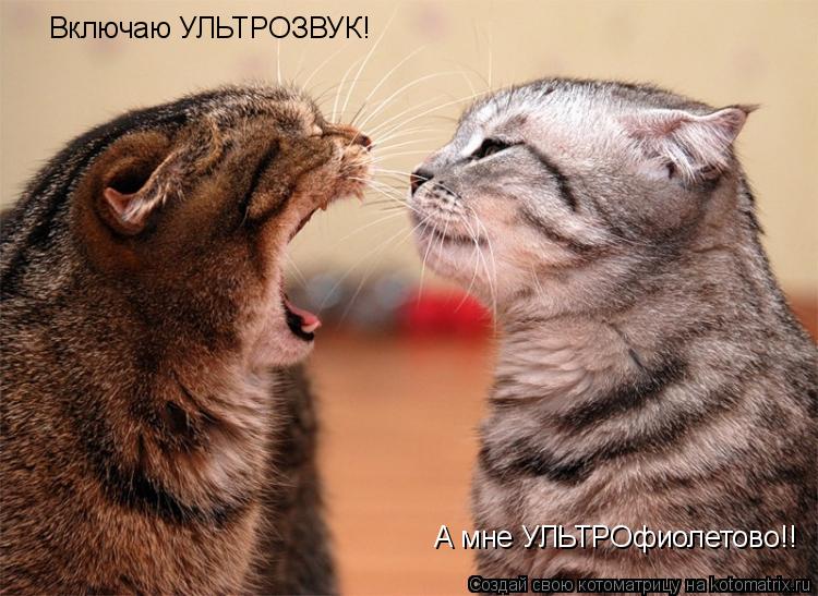 Котоматрица: Включаю УЛЬТРОЗВУК! А мне УЛЬТРОфиолетово!!