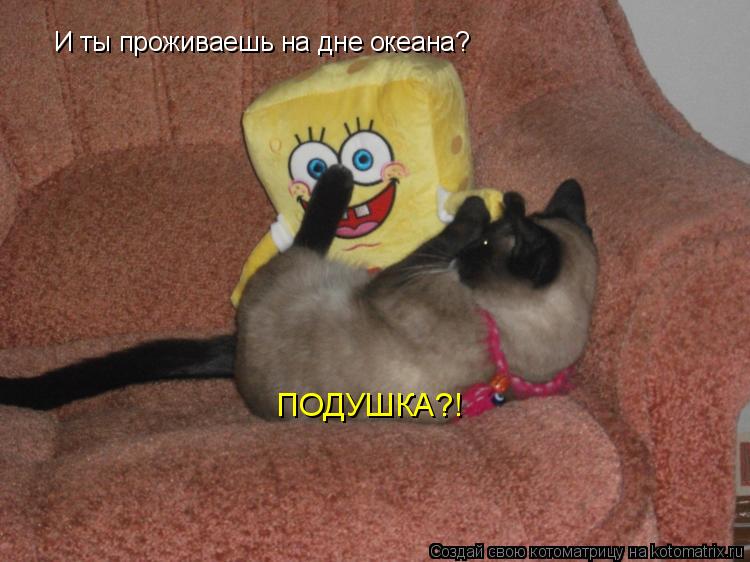 Котоматрица: И ты проживаешь на дне океана? ПОДУШКА?!