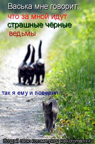Васька мне говорит: что за мной идут страшные чёрные ведьмы так я ему и поверил... Котоматрица: Васька мне говорит: что за мной идут страшные чёрные ведьмы так я ему и поверил