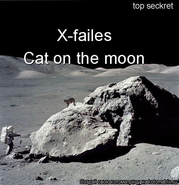 Х-failes Cat on the moon top seckret... Котоматрица: Х-failes Cat on the moon top seckret