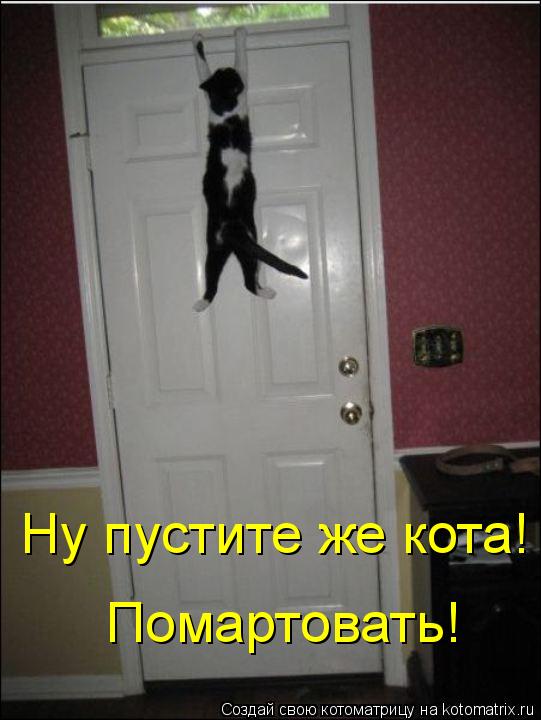 Котоматрица: Ну пустите же кота! Помартовать!