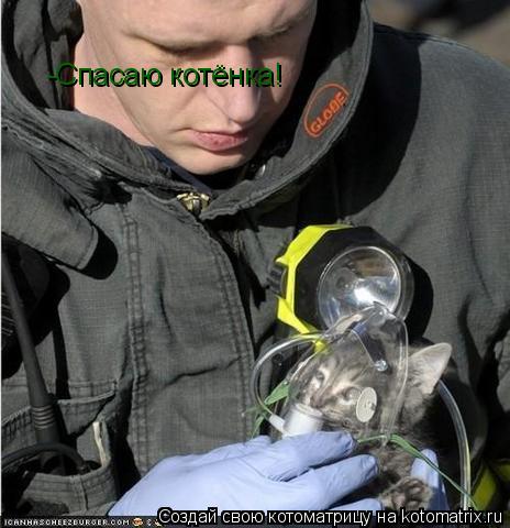 -Спасаю котёнка!... Котоматрица: -Спасаю котёнка!