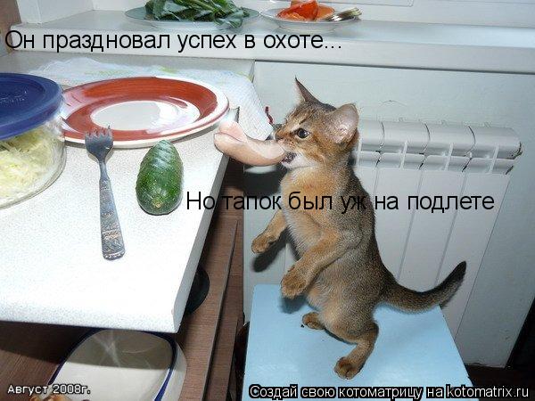 Котоматрица: Он праздновал успех в охоте... Но тапок был уж на подлете