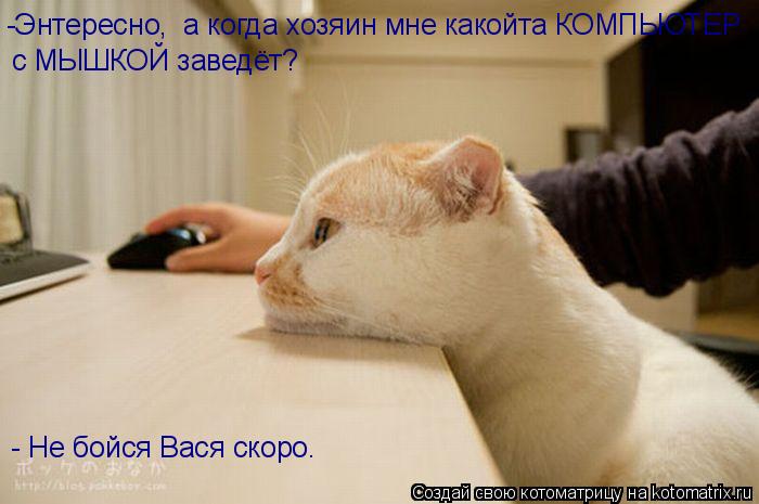 -Энтересно, а когда хозяин мне какойта КОМПЬЮТЕР с МЫШКОЙ заведёт? - Не бойся Вася скоро.... Котоматрица: -Энтересно, а когда хозяин мне какойта КОМПЬЮТЕР с МЫШКОЙ заведёт? - Не бойся Вася скоро.