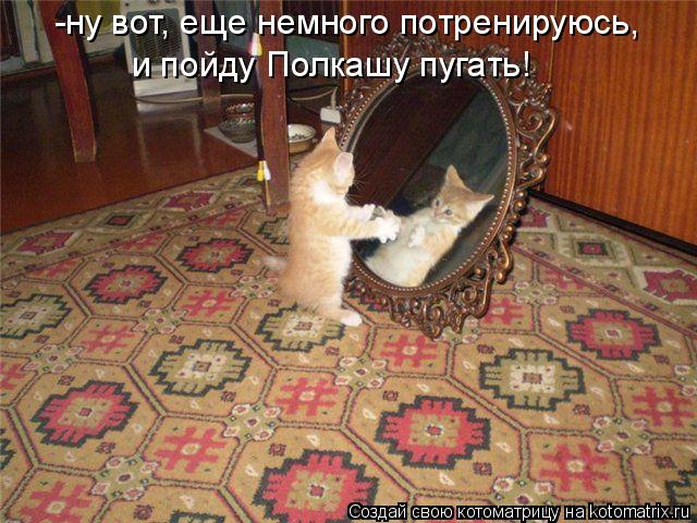 -ну вот, еще немного потренируюсь, и пойду Полкашу пугать!... Котоматрица: -ну вот, еще немного потренируюсь, и пойду Полкашу пугать!