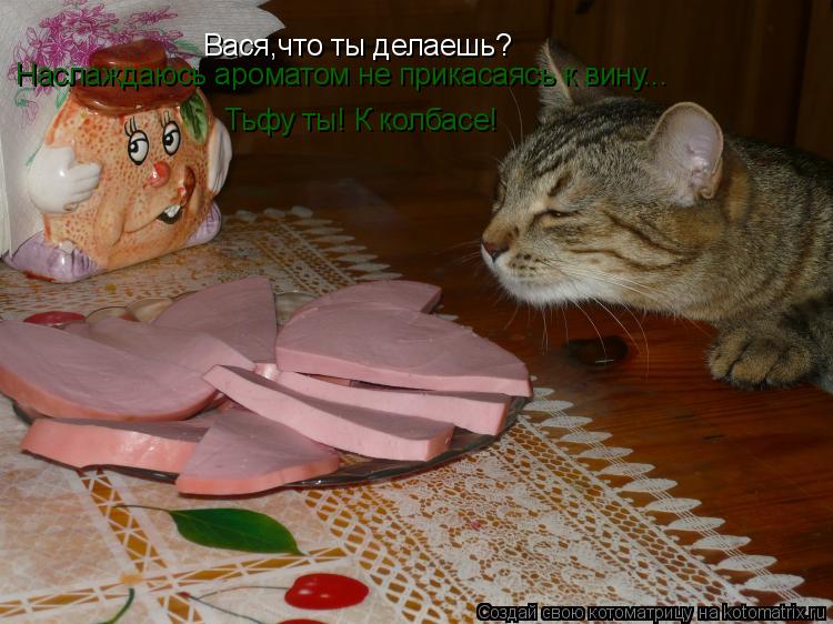 Котоматрица: Вася,что ты делаешь? Наслаждаюсь ароматом не прикасаясь к вину... Тьфу ты! К колбасе!