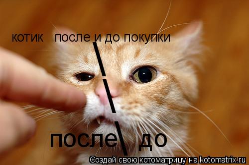 Котоматрица: \ \ \ котик   после и до покупки после   до