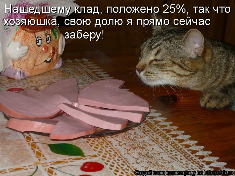 Котоматрица: Нашедшему клад, положено 25%, так что  хозяюшка, свою долю я прямо сейчас  заберу!