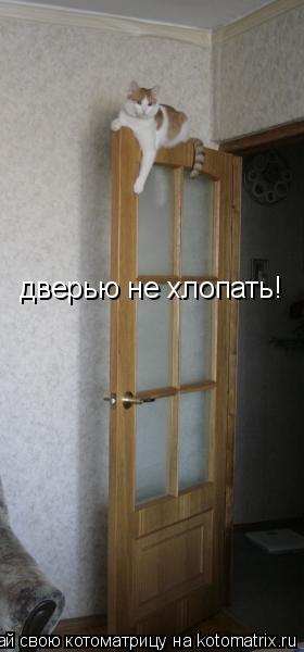 Котоматрица: дверью не хлопать!
