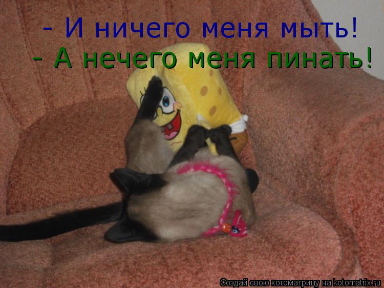 Котоматрица: - И ничего меня мыть!  - А нечего меня пинать!