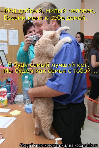 Котоматрица: Мой добрый, милый человек, Возьми меня к себе домой. Я буду самый лучший кот, Мы будем как семья с тобой...