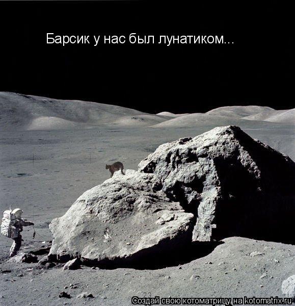 Котоматрица: Барсик у нас был лунатиком...