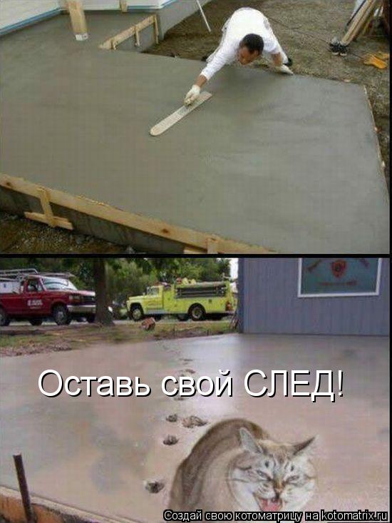Котоматрица: Оставь свой СЛЕД!