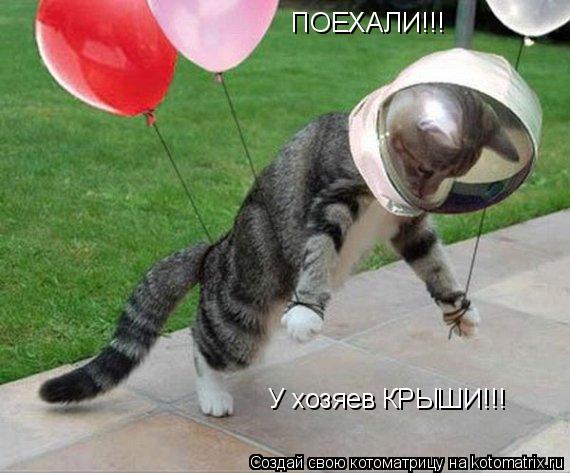 Котоматрица: ПОЕХАЛИ!!! У хозяев КРЫШИ!!!