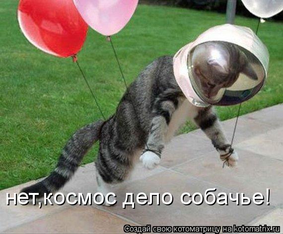 Котоматрица: нет,космос дело собачье!