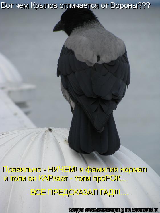 Котоматрица: Вот чем Крылов отличается от Вороны??? Правильно - НИЧЕМ! и фамилия нормал. и толи он КАРкает - толи проРОК... ВСЕ ПРЕДСКАЗАЛ ГАД!!!....