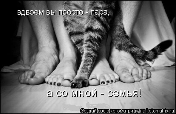 Котоматрица: вдвоем вы просто - пара,  а со мной - семья!