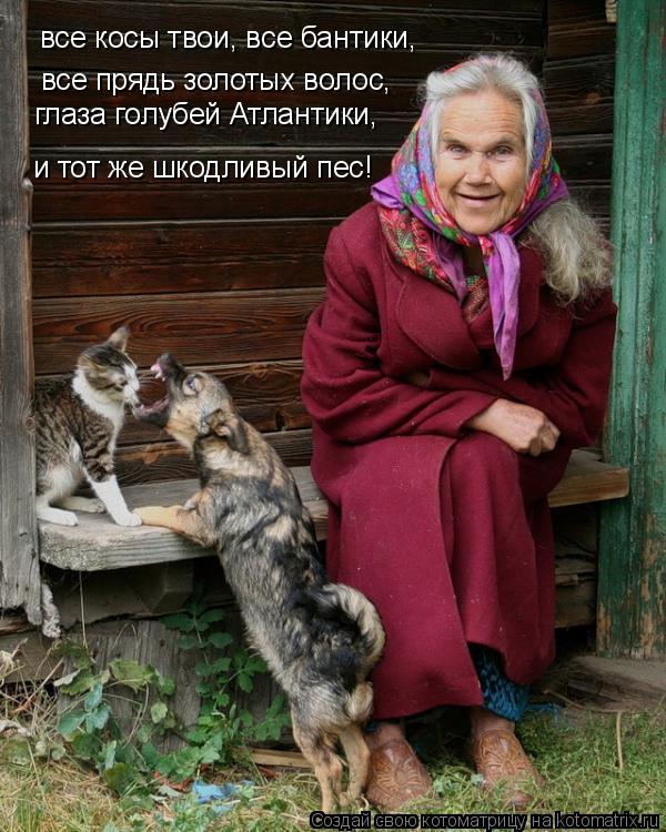 Котоматрица: все косы твои, все бантики, все прядь золотых волос, глаза голубей Атлантики,  и тот же шкодливый пес!
