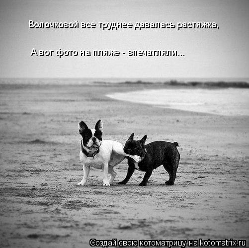 Котоматрица: Волочковой все труднее давалась растяжка,  А вот фото на пляже - впечатляли...