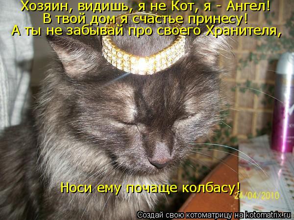 Котоматрица: Хозяин, видишь, я не Кот, я - Ангел! В твой дом я счастье принесу! А ты не забывай про своего Хранителя, Носи ему почаще колбасу!