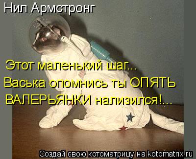 Котоматрица: Нил Армстронг Этот маленький шаг... Васька опомнись ты ОПЯТЬ ВАЛЕРЬЯНКИ нализился!...