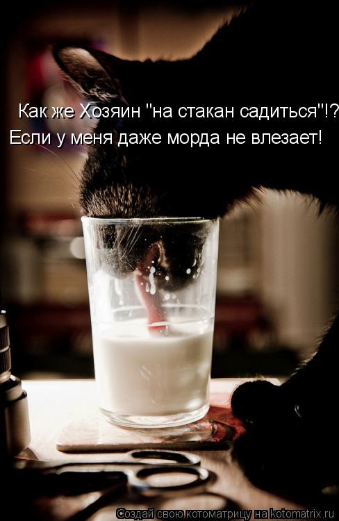 Как же Хозяин "на стакан садиться"!? Если у меня даже морда не влезает!... Котоматрица: Как же Хозяин "на стакан садиться"!? Если у меня даже морда не влезает!