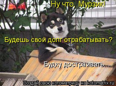 Ну что, Мурзик! Будешь свой долг отрабатывать? Будку достраивать...... Котоматрица: Ну что, Мурзик! Будешь свой долг отрабатывать? Будку достраивать...
