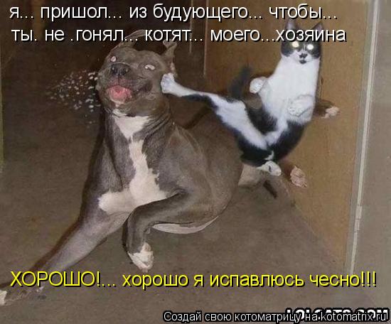 ты. не .гонял... котят... моего...хозяина я... пришол... из будующего... чтобы... ХОРОШО!... хорошо ... Котоматрица: ты. не .гонял... котят... моего...хозяина я... пришол... из будующего... чтобы... ХОРОШО!... хорошо я испавлюсь чесно!!!