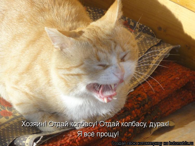 Хозяин! Отдай колбасу! Отдай колбасу, дурак! Я всё прощу!... Котоматрица: Хозяин! Отдай колбасу! Отдай колбасу, дурак! Я всё прощу!