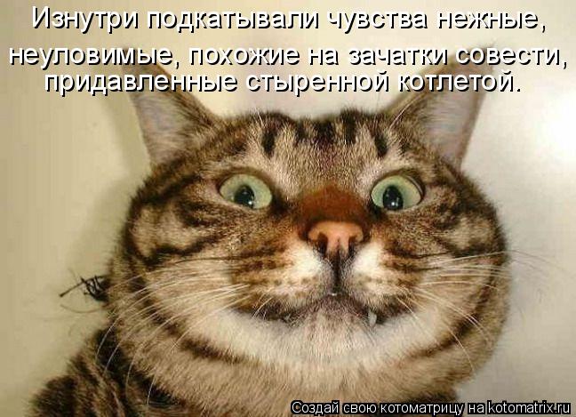 Котоматрица: Изнутри подкатывали чувства нежные, придавленные стыренной котлетой. неуловимые, похожие на зачатки совести,