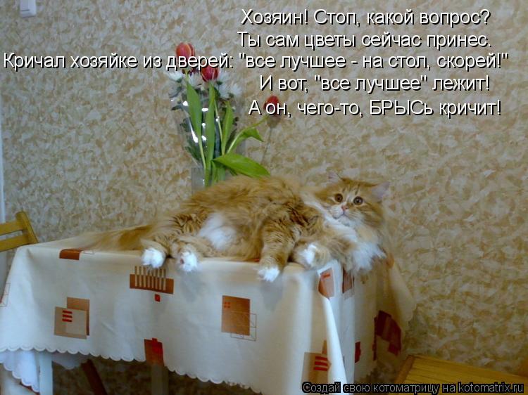Котоматрица: Хозяин! Стоп, какой вопрос? Ты сам цветы сейчас принес. Кричал хозяйке из дверей: "все лучшее - на стол, скорей!" И вот, "все лучшее" лежит! А он, ч