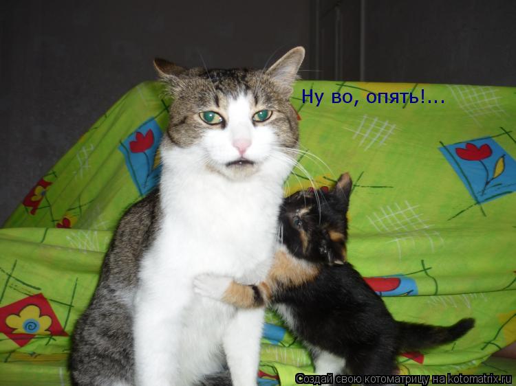 Ну во, опять!...... Котоматрица: Ну во, опять!...