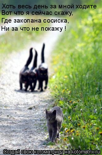 Хоть весь день за мной ходите Вот что я сейчас скажу, Где закопана сосиска, Ни за что не покажу !... Котоматрица: Хоть весь день за мной ходите Вот что я сейчас скажу, Где закопана сосиска, Ни за что не покажу !