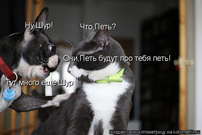 Ну Шур! Что,Петь? Тут много ещё Шур Они,Петь будут про тебя петь!... Котоматрица: Ну Шур! Что,Петь? Тут много ещё Шур Они,Петь будут про тебя петь!