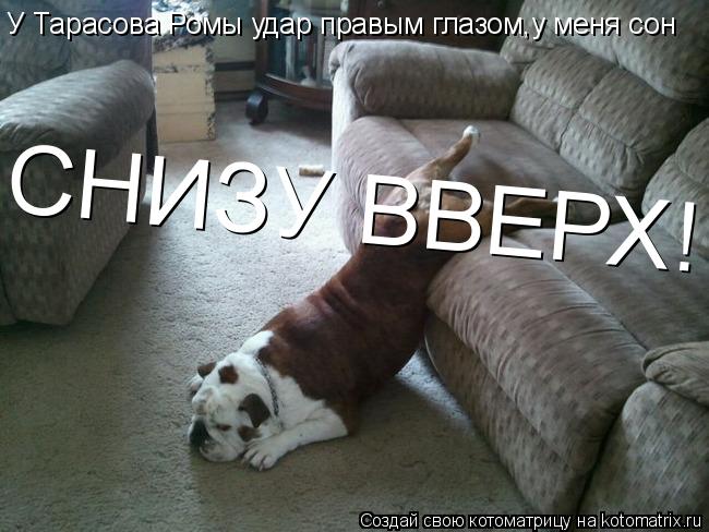 У Тарасова Ромы удар правым глазом,у меня сон СНИЗУ ВВЕРХ!... Котоматрица: У Тарасова Ромы удар правым глазом,у меня сон СНИЗУ ВВЕРХ!