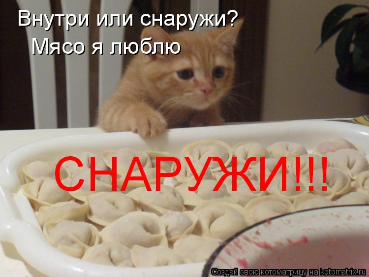 Внутри или снаружи? Мясо я люблю СНАРУЖИ!!!... Котоматрица: Внутри или снаружи? Мясо я люблю СНАРУЖИ!!!
