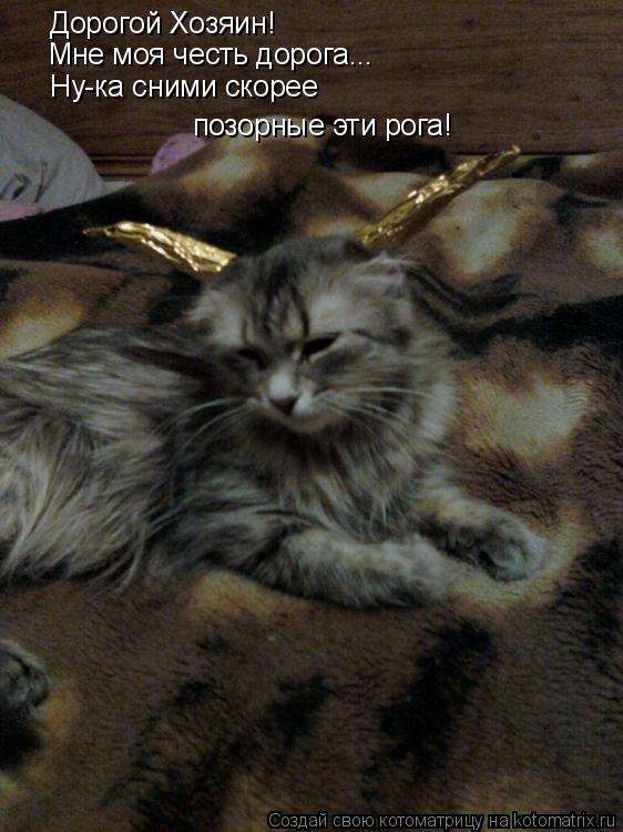 Дорогой Хозяин! Мне моя честь дорога... Ну-ка сними скорее позорные эти рога!... Котоматрица: Дорогой Хозяин! Мне моя честь дорога... Ну-ка сними скорее позорные эти рога!