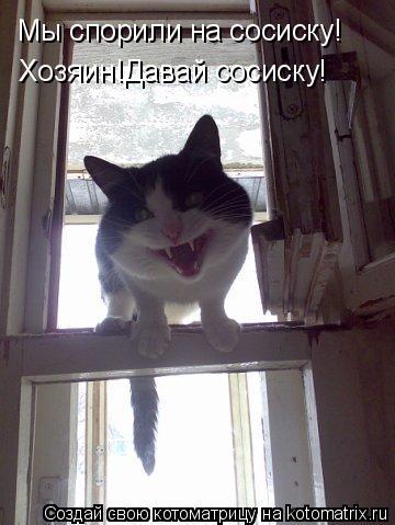 Мы спорили на сосиску! Хозяин!Давай сосиску!... Котоматрица: Мы спорили на сосиску! Хозяин!Давай сосиску!