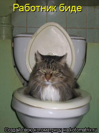 Работник биде... Котоматрица: Работник биде