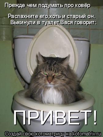 Прежде чем подумать про ковёр Распахните его,хоть и старый он. Выкинули в туалет,Вася говорит: ПРИВЕТ... Котоматрица: Прежде чем подумать про ковёр Распахните его,хоть и старый он. Выкинули в туалет,Вася говорит: ПРИВЕТ!