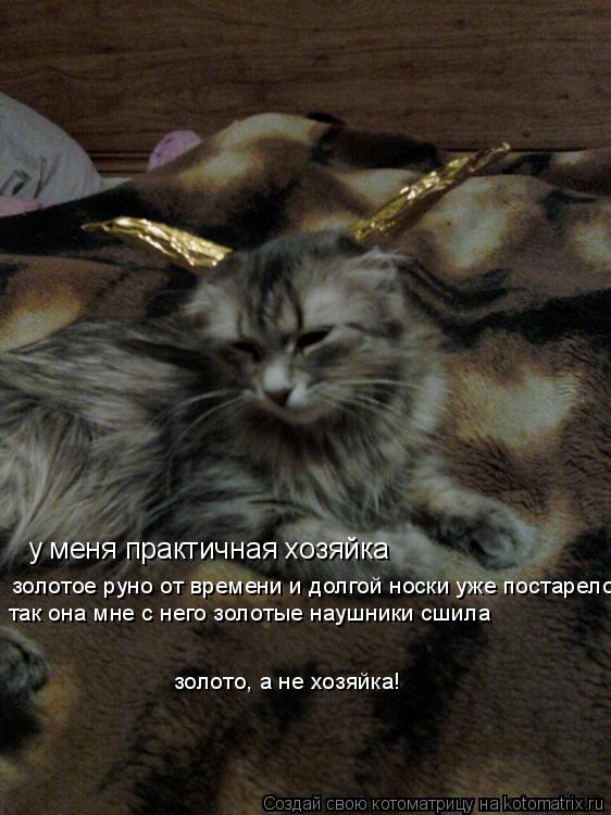 у меня практичная хозяйка золотое руно от времени и долгой носки уже постарело так она мне с него зол... Котоматрица: у меня практичная хозяйка золотое руно от времени и долгой носки уже постарело так она мне с него золотые наушники сшила золото, а не хозяйк