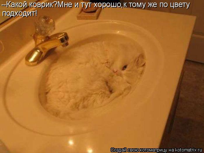 --Какой коврик?Мне и тут хорошо,к тому же по цвету подходит!... Котоматрица: --Какой коврик?Мне и тут хорошо,к тому же по цвету подходит!