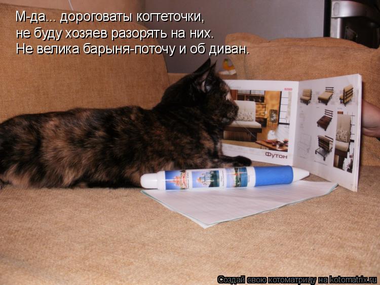 М-да... дороговаты когтеточки, не буду хозяев разорять на них. Не велика барыня-поточу и об диван.... Котоматрица: М-да... дороговаты когтеточки, не буду хозяев разорять на них. Не велика барыня-поточу и об диван.