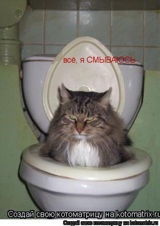 всё, я СМЫВАЮСЬ... Котоматрица: всё, я СМЫВАЮСЬ