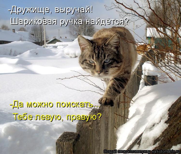 -Дружище, выручай! Шариковая ручка найдётся? -Да можно поискать... Тебе левую, правую?... Котоматрица: -Дружище, выручай! Шариковая ручка найдётся? -Да можно поискать... Тебе левую, правую?