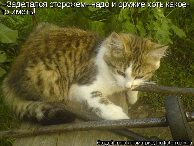 --Заделался сторожем--надо и оружие хоть какое- то иметь!... Котоматрица: --Заделался сторожем--надо и оружие хоть какое- то иметь!